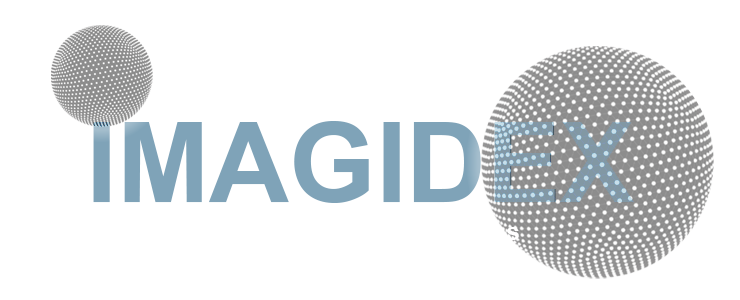 Imagidex